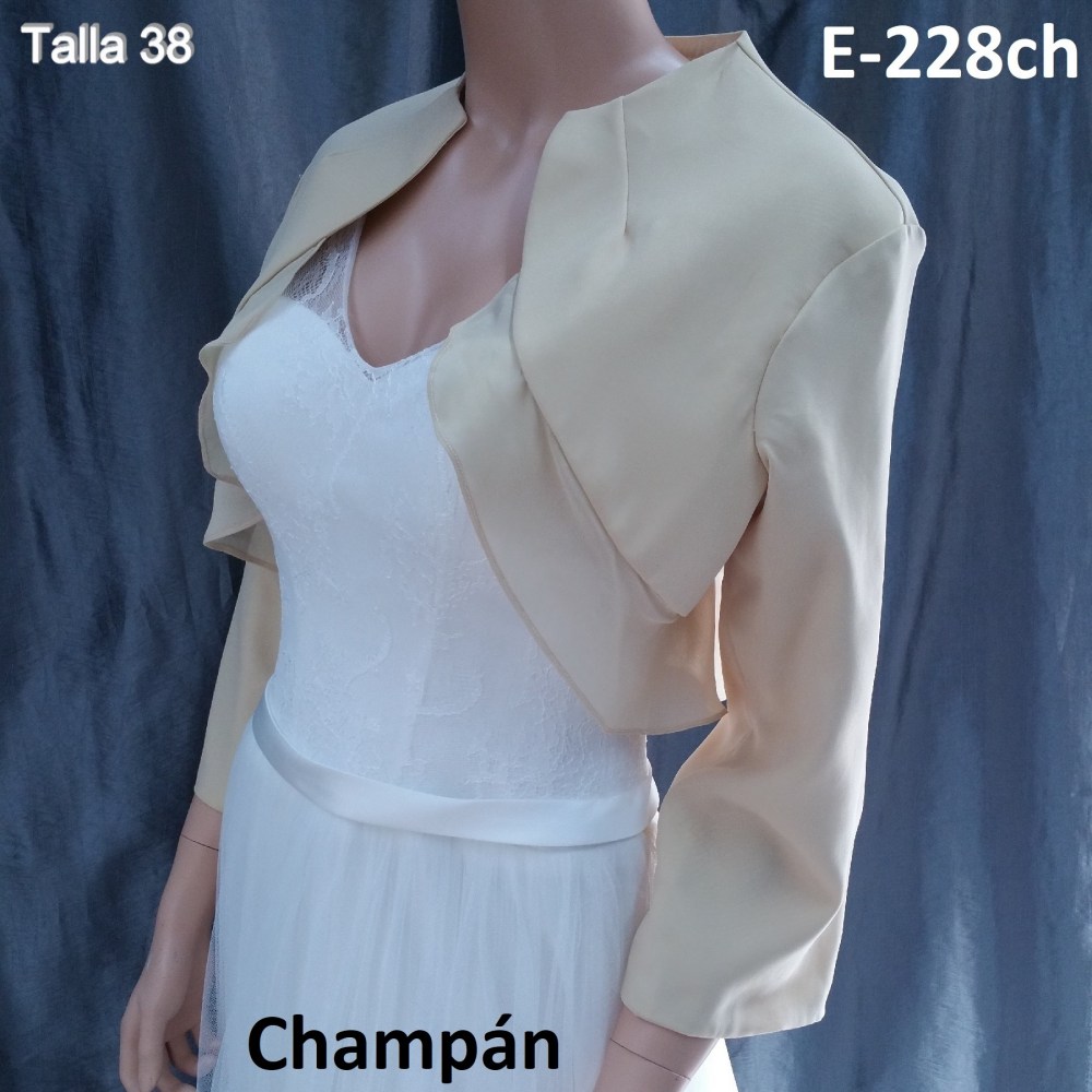 E-228 champan
